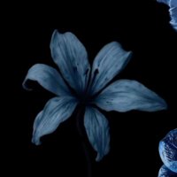 8 (@8ixclx) 's Twitter Profile