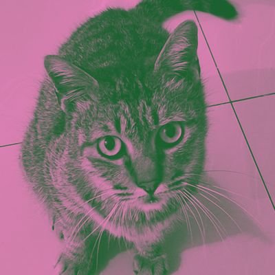 syk_cen's profile picture. Views my own. All Carrots Are Bananas. Have no time to be anyone's muse. Too busy condemning shitty gov.