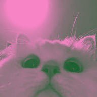 yap. (@illbenearby) 's Twitter Profile Photo yap. (@illbenearby) 's Twitter Profile Photo
