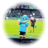 Gaberinko's profile picture. 2011年〜川崎フロンターレを応援中｜#17 #伊藤達哉 🐬🩵🖤 ｜横浜市育ち。等々力に通うため川崎市に転居した人 ｜気まぐれで🗝️