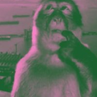 kay²⁶ mt after dm (@twistedhum0r) 's Twitter Profile