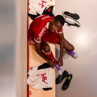 lfchdarg's profile picture. Alexis MacAllister is the best midfielder in world football #JFT97 #YNWA