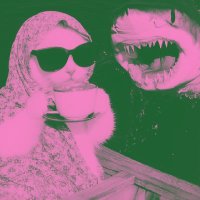 owlly (@chamomillee17) 's Twitter Profile