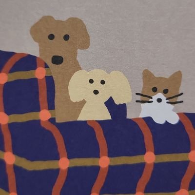 sarasa159's profile picture. 