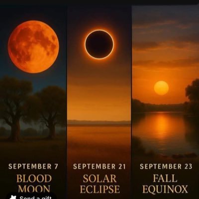 123Kikoman222's profile picture. One and only