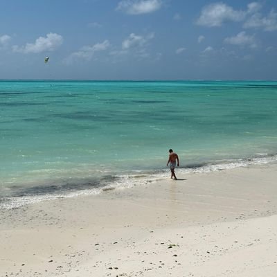 pasPR_19's profile picture. 