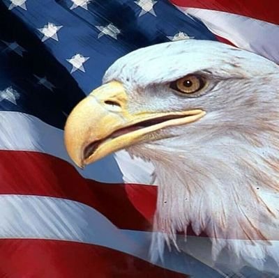 ownusadream's profile picture. 