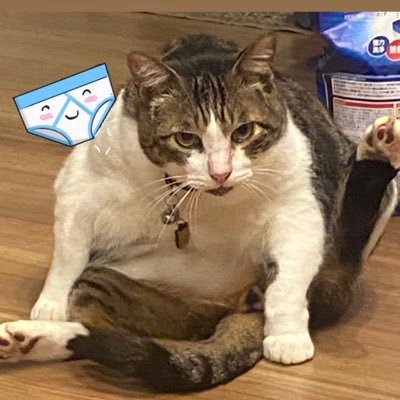 弱小投資家です(2024.8〜)が、応援してます!がんばれサイモンさん👊 メタプラ応援されてるみなさんと繋がりたい!