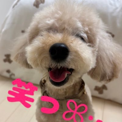 mccoco100510's profile picture. cross roadから約３1年Mr.Children命😍 F&Ｍ永久会員✌️ミスチル犬部🐶バクナンone room🔑かてぃん🎹8810🌟映画、ピアノ 💓