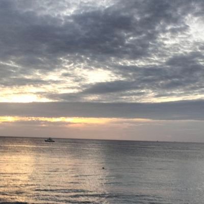 TalitoCris73571's profile picture. 