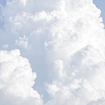 色んな森羅を作るのが好き。写真の無断使用✖︎ / DMではモデルやテスターのご相談も受け付けています📩 / 日常:@i_i__nu