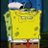 cooker.sol avatar
