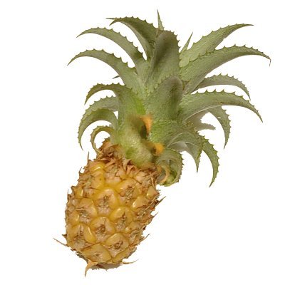 ひまじおんパイン丸🍍さんのプロフィール画像