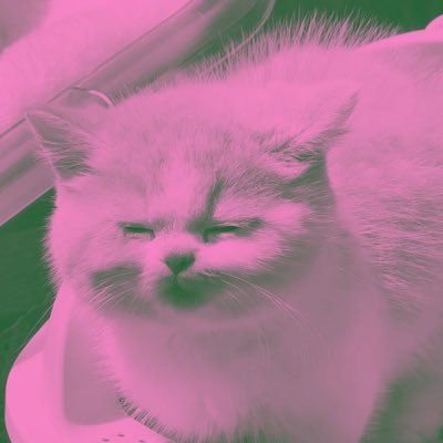 NenengWaqiatulH's profile picture. anak rumahan yg masih belajar menjelajahi dunia luar.