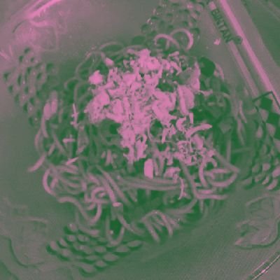 ungasnengko's profile picture. Another engineer is required m'Lord