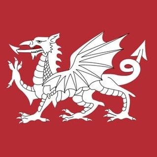 Danukman1's profile picture. just a man who loves his once great country!