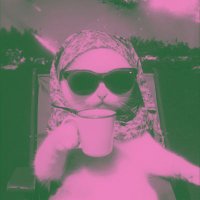 ezetka (@luzitski) 's Twitter Profile
