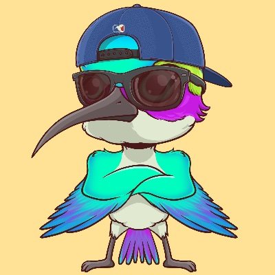 2016 Bitcoiner I Macro geek I Building @HMNBRDNetwork 🧱 I Co-founder - @Arcade2earn