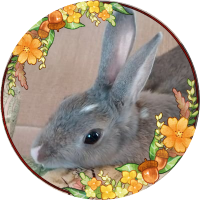 MEGU (@megreen_ai) Twitter profile photo