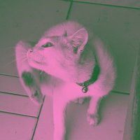 nnnn (@pikofmind) 's Twitter Profile