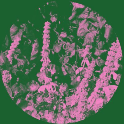 fadwinugroho's profile picture. Saya suka makan sayur.