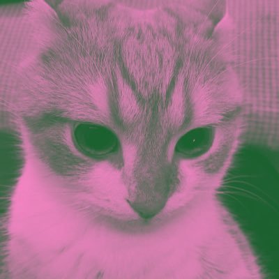 callmeelerr's profile picture. born to die