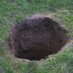 elons hole (@elons_hole) Twitter profile photo elons hole (@elons_hole) Twitter profile photo