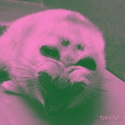 popkinetick's profile picture. manifesting marrying the loml (my gf)