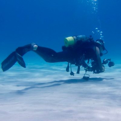 iwa112's profile picture. 海無し県在住の薄毛オジ。ウエットスーツを可愛く着るのが目標。履いてるおパンツは少年用