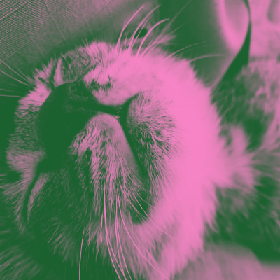 saranghaenunbic's profile picture. 🇮🇩🇵🇸
akun berisikkk