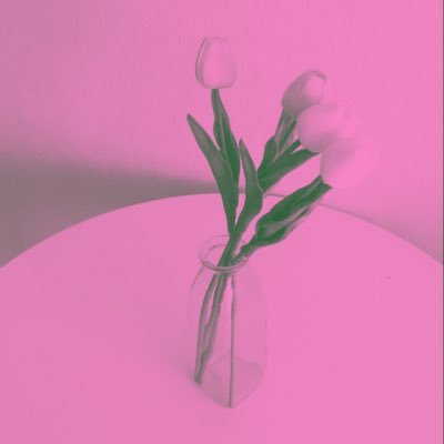 pandaisthecute1's profile picture. pecinta kedamaian 🫶🏻