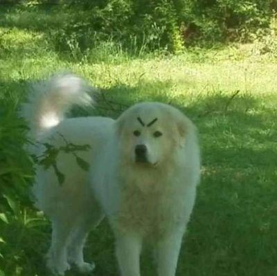 habitodeestudar's profile picture. 