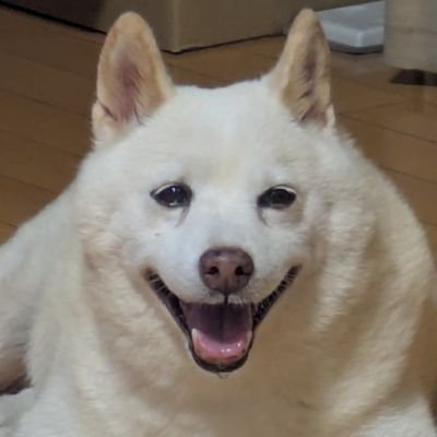 tarena_takeyo's profile picture. 日常 兼 投稿告知アカ

こっちは本垢 兼 絵アカ→@174key0