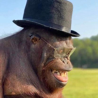 hollydawg2's profile picture. he him guy man