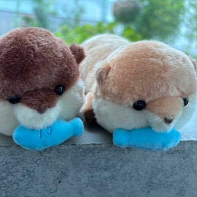 HaruDartslike's profile picture. いつの日にかAフラになれたらなぁ…                    ダーツやっている方、気軽にフォローしてください(*^^*)