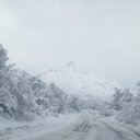 Bartolo - @Bartolo2905 - Twitter