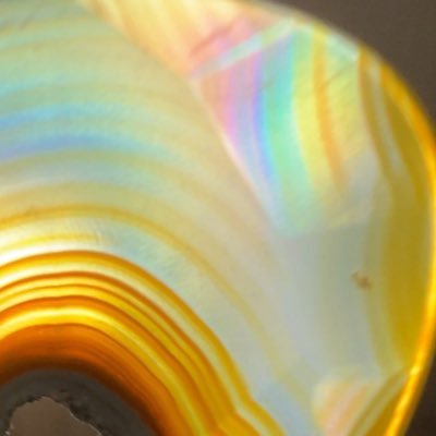 野生のDTMer。曲を作ります。PCが苦手なボカロ初心者。WIL、結月ゆかり(穏)、鉱物、植物、猫が好き。 https://t.co/c3P6wwsIxD https://t.co/ergS2zMQ8x