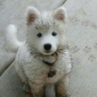 하루 (@peter_choi05) 's Twitter Profile