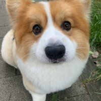SusannaLattimore (@syfw4s1hws4zh) 's Twitter Profile