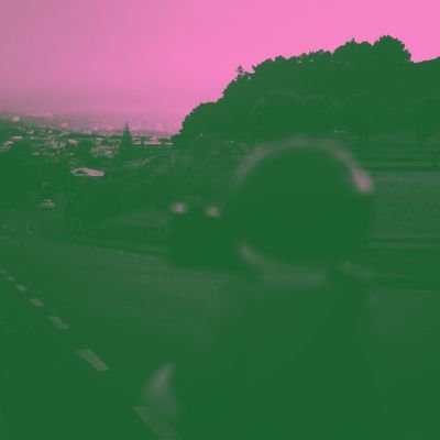 chiwawpeeps's profile picture. 