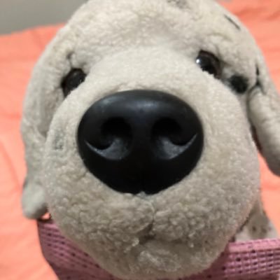 teanosalt's profile picture. topaz sampa strontium charm  💜