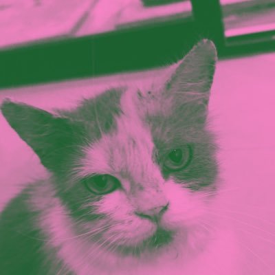 Ello_AP's profile picture. 28