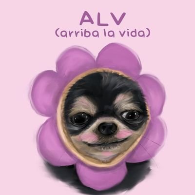 Fuera de foco... Inalcanzable, irreverente, casi intocable...