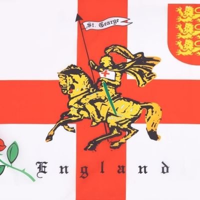 NeilPlevey9's profile picture. South Londoner transported to farthest deepest North Norfolk. Hedgehogs, Millwall, Tooting & Mitcham, Surrey CCC and 45mm Garden Railways.