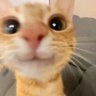 teedmina1's profile picture. 🟨 Defi enthusiast 🟨 I love NFTs, Web3 and GameFi 💛