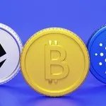 CryptoBro653's profile picture. I give advice on meme coins
I can promote your coin for $5