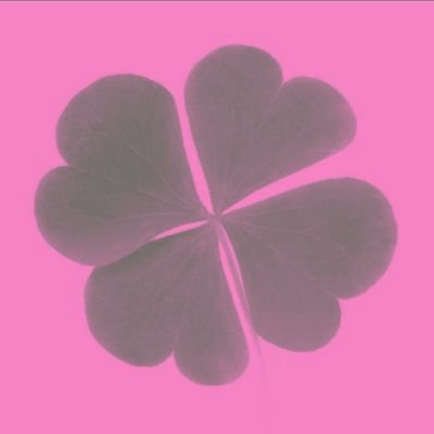 SaintPooney Profile