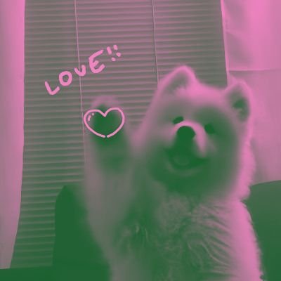 ezerlyx's profile picture. 