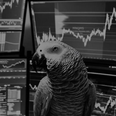 Fresh_OrderFlow's profile picture. Trader solo
