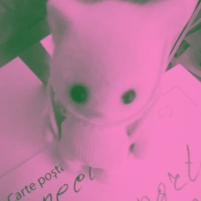 just studying n yapping page